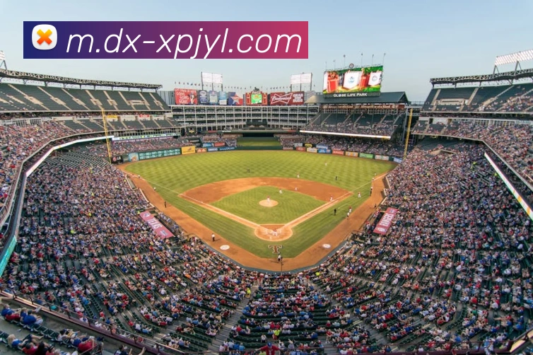 澳门新葡京娱乐APP 封面图